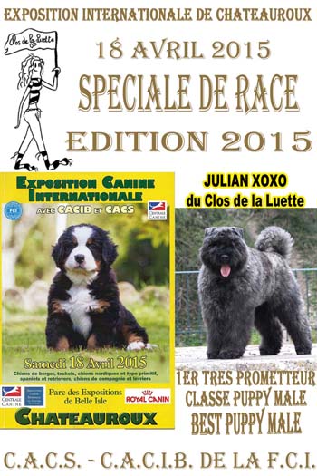 JOHN ROSS © Elevage bouvier des flandre du Clos de la Luette © Clos de la Luette Kennel